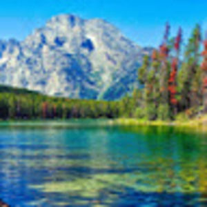 Meet your Posher, Eden